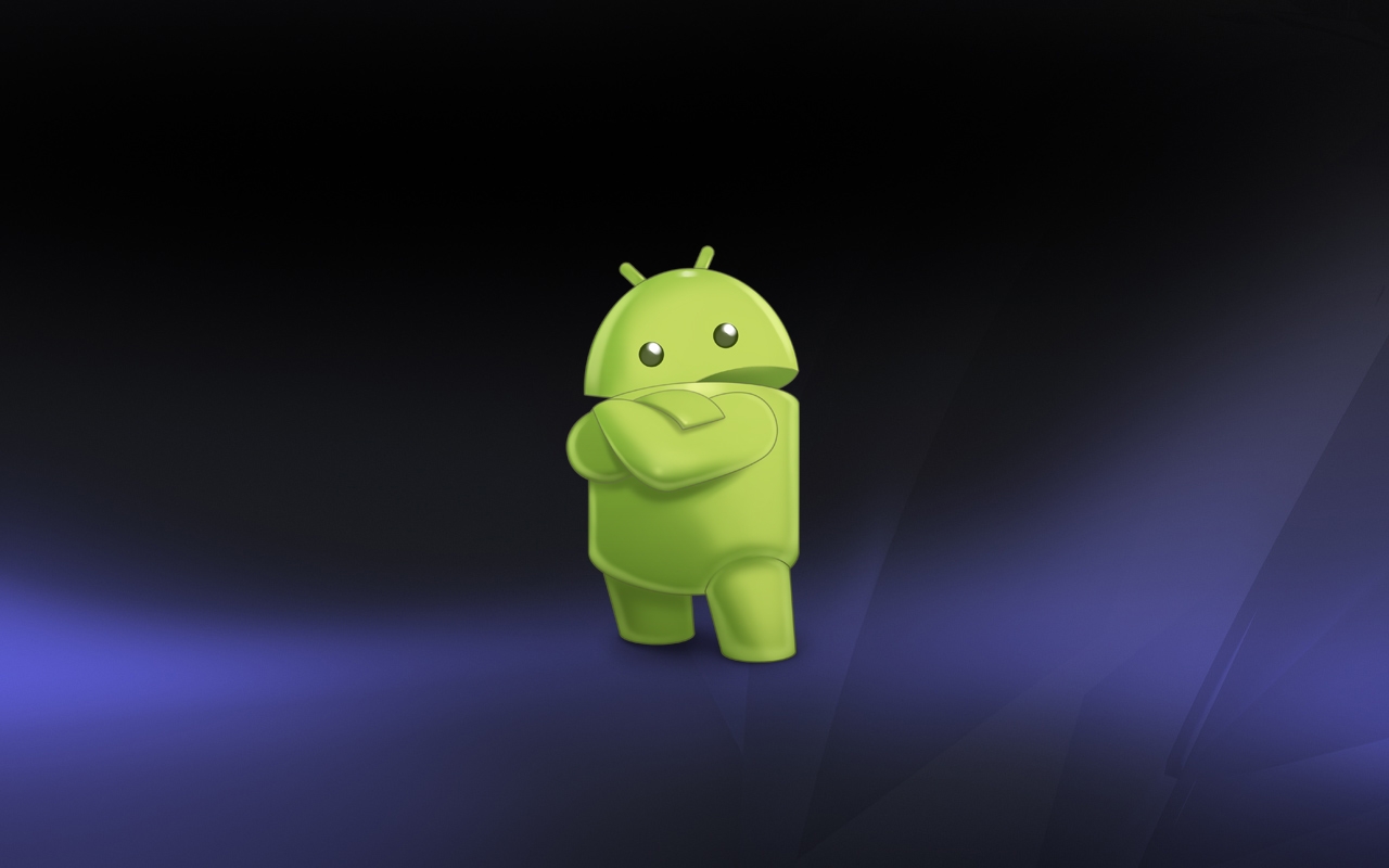 android 3.0图赏 30张内置壁纸无码下载